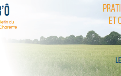 Enjeux qualité de l’eau et pratiques agricoles : AGR’Ô, le bulletin du Nord Charente