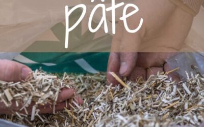 Le chanvre dans le bâtiment : RDV le 26 mars 2026